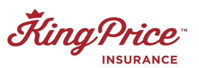 King Price, a leading insurance provider, is among the valued clients who have chosen Bytestream as their marketing partner. This collaboration highlights our commitment to delivering innovative solutions and underscores our reputation as a trusted ally in achieving marketing success.